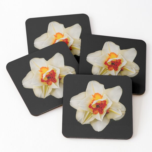 Item preview, Daffodil Photography designed and sold by thatonepersonk.