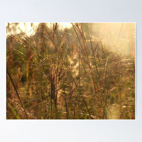 Item preview, Nothing Gold Can Stay designed and sold by WildThingPhotos.