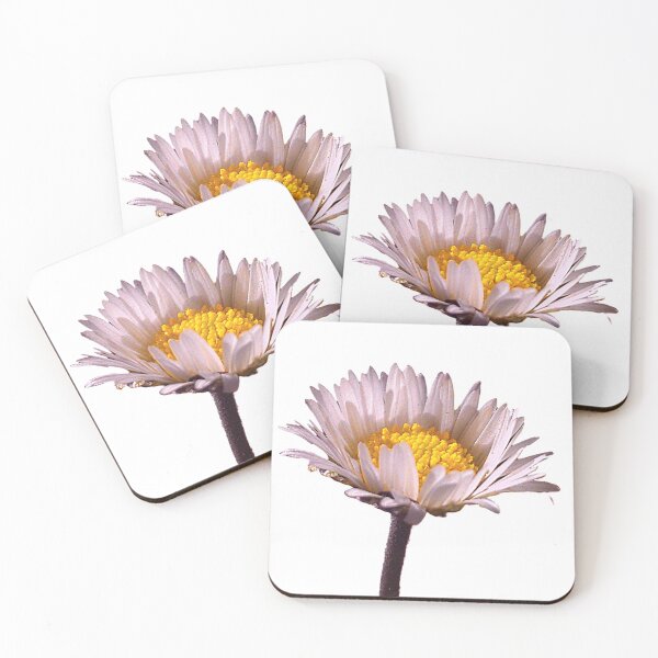 Item preview, White Flower designed and sold by Artwork-Station.