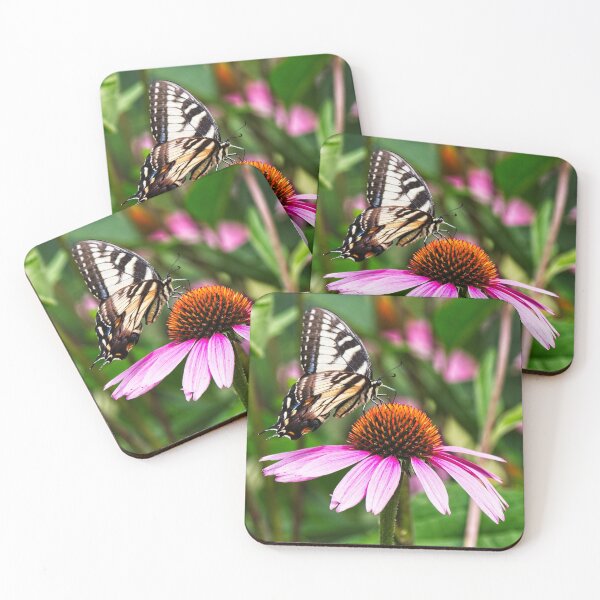 Item preview, Spicebush Swallowtail Butterfly 3 designed and sold by StevenRalserPhoto.