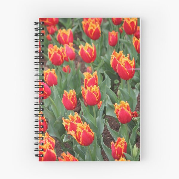 Item preview, Frilly Tulips designed and sold by Wendy Skala.