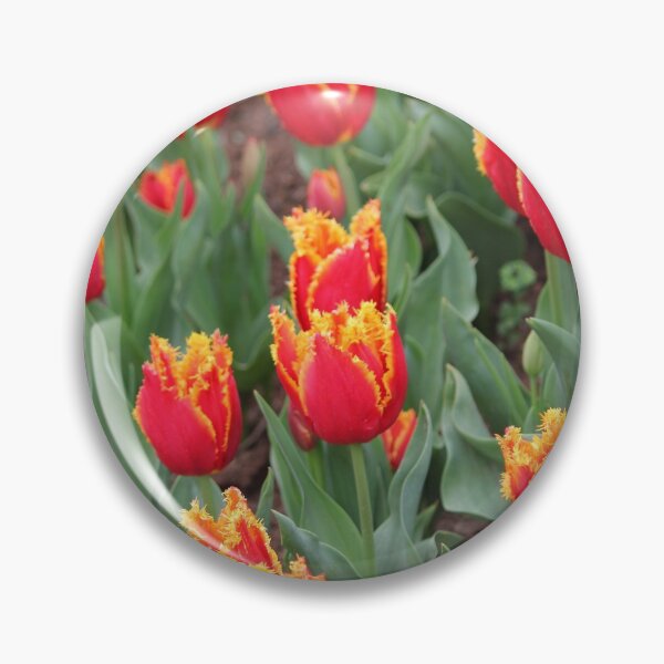 Item preview, Frilly Tulips designed and sold by Wendy Skala.