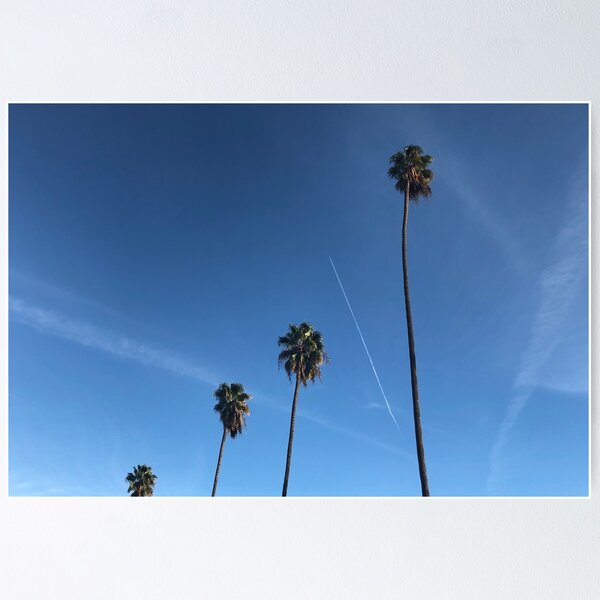 Item preview, California Palm Trees in a Blue Sky designed and sold by CaliCaliDreamin.
