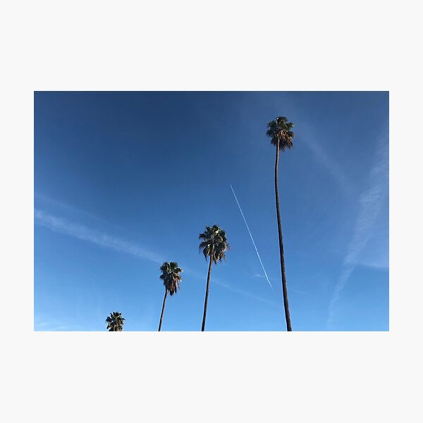 Item preview, California Palm Trees in a Blue Sky designed and sold by CaliCaliDreamin.