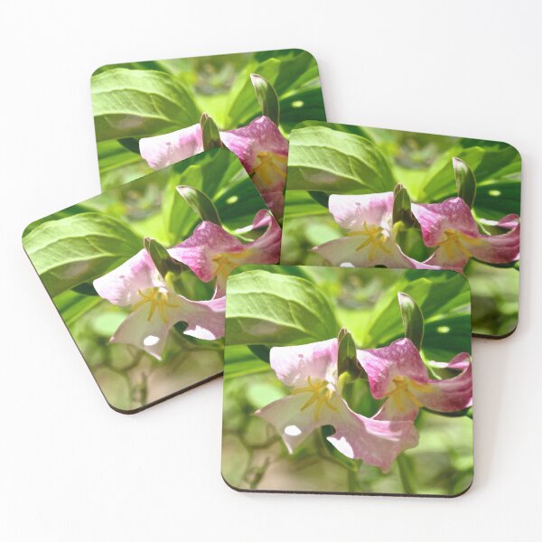 Item preview, Pink Trillium Native Wildflower designed and sold by candhdesigns.