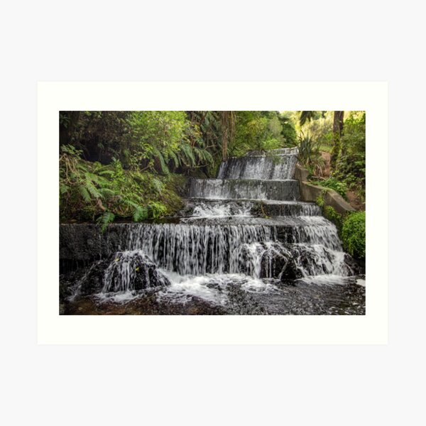 Belmont Regional Park, Wellington Art Print