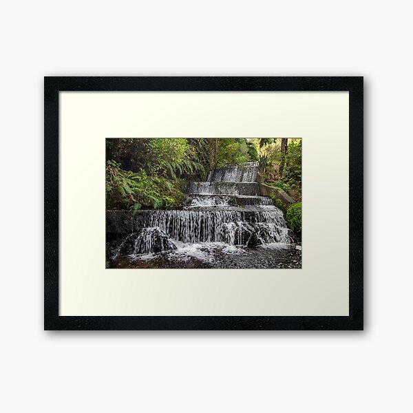 Belmont Regional Park, Wellington Framed Art Print