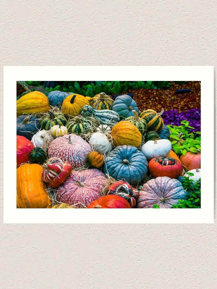 Pumpkin Print Pumpkin Art Pumpkin Chart Print Harvest Print Autumn Print  Thanksgiving Print Halloween Print Pumpkin Varieties 