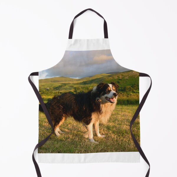 Item preview, The Joy of Laddie designed and sold by Michael Haslam.