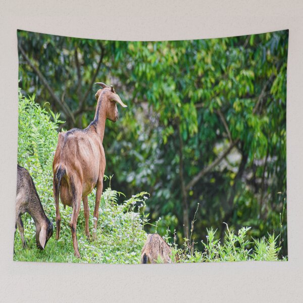 Item preview, Grazing goats designed and sold by Mariolangstieh.