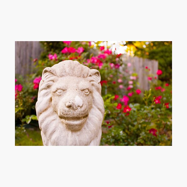 Stone Lion Photographic Print
