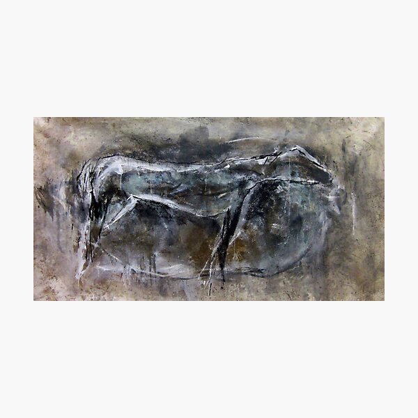 Longhorse #2 Photographic Print