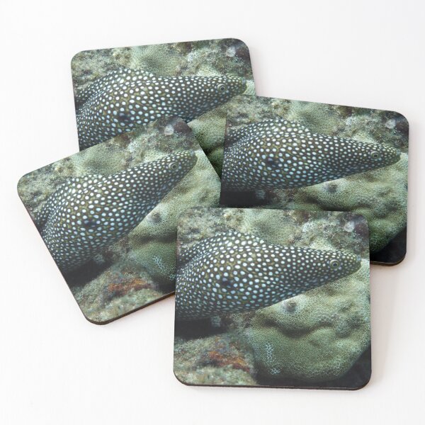 Item preview, That's A Moray! designed and sold by RosieRiggs.
