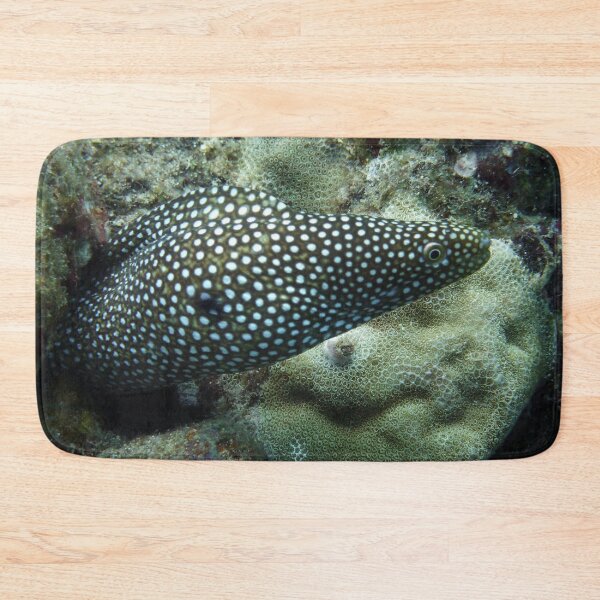 Item preview, That's A Moray! designed and sold by RosieRiggs.