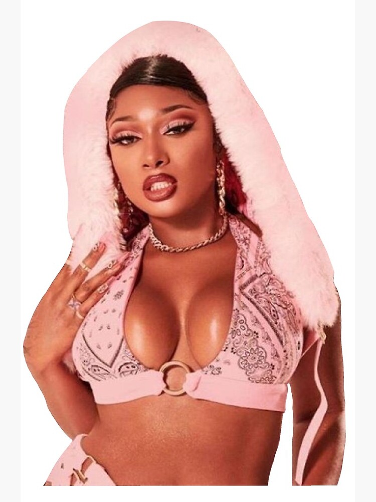 Megan thee stallion girl in the hoodie new arrivals