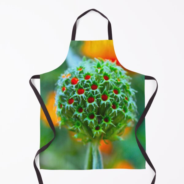 Item preview, Ilumina designed and sold by equilibrio.