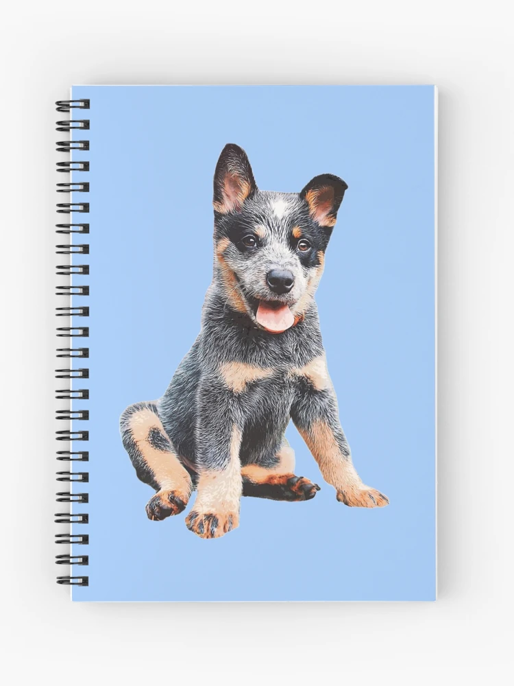 Australian Cattle Dog Blue Heeler Puppy Mounted Print for Sale by Elarex