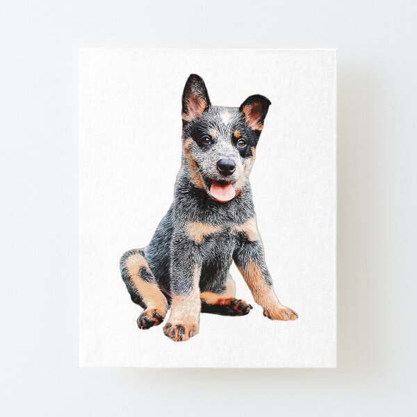 Australian Cattle Dog Blue Heeler Puppy Mounted Print for Sale by Elarex