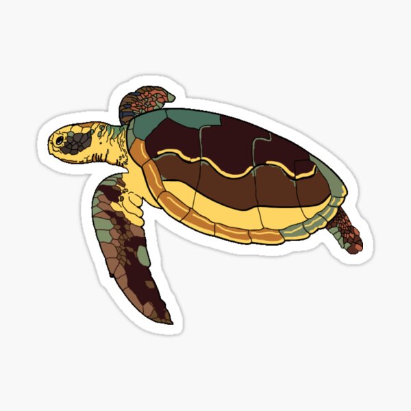 Couleurs de tortue Sticker