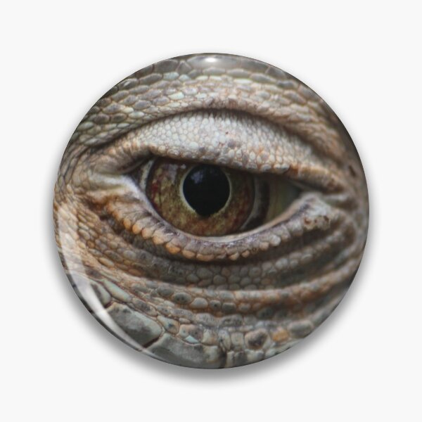 Item preview, Eye see you designed and sold by Sandi Walmsley.