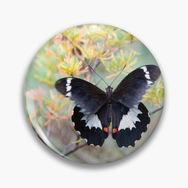 Item preview, Orchard Swallowtail butterfly designed and sold by notjustamwac.