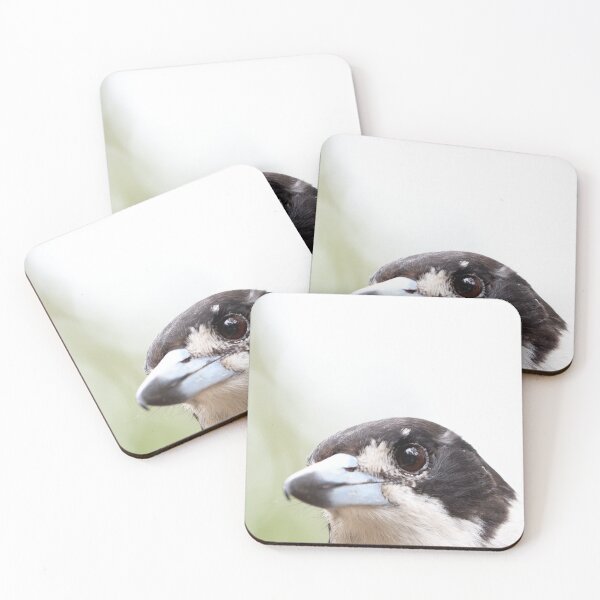 Item preview, Curious Pied Butcherbird designed and sold by notjustamwac.