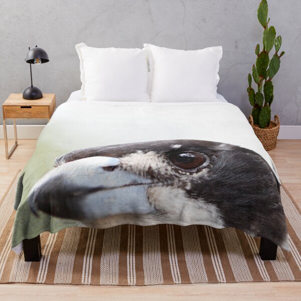 Item preview, Curious Pied Butcherbird designed and sold by notjustamwac.