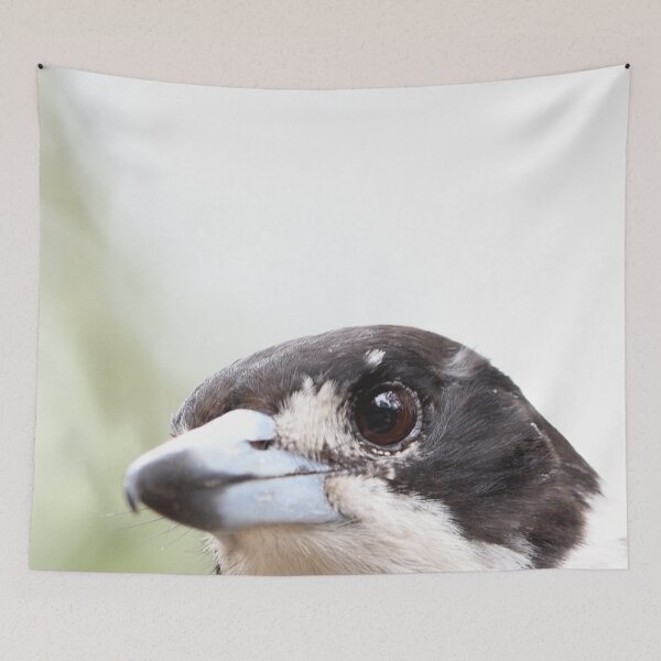 Item preview, Curious Pied Butcherbird designed and sold by notjustamwac.
