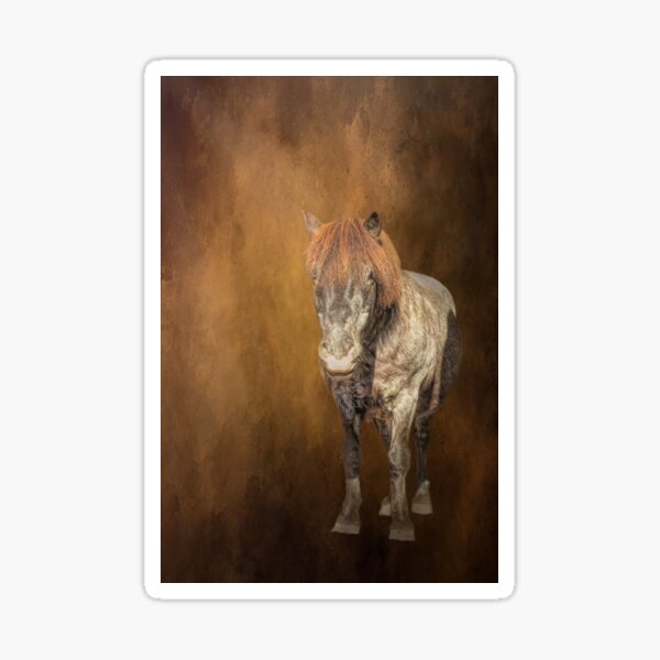 Aperçu de l'œuvre Poney Shetland créée et vendue par Elisabeth Lucas.