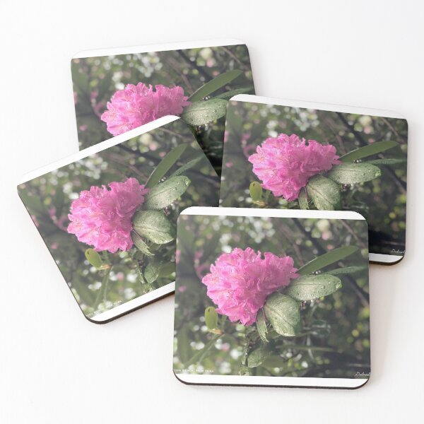 Item preview, Blooming Pink Flower | Photography | Gift Idea | Cute Decor designed and sold by GabrieTaylor.