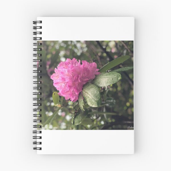 Item preview, Blooming Pink Flower | Photography | Gift Idea | Cute Decor designed and sold by GabrieTaylor.