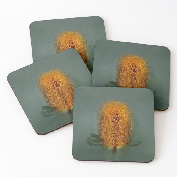 Item preview, Banksia in the round designed and sold by Bevlyn.