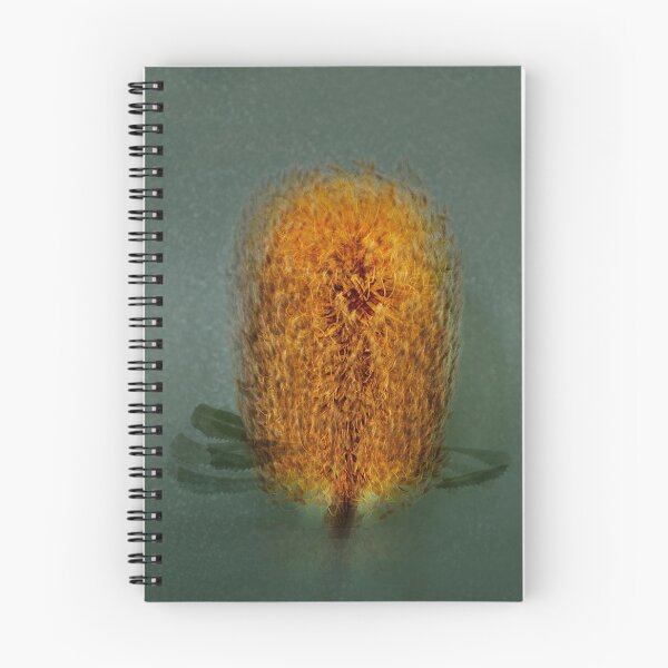 Item preview, Banksia in the round designed and sold by Bevlyn.