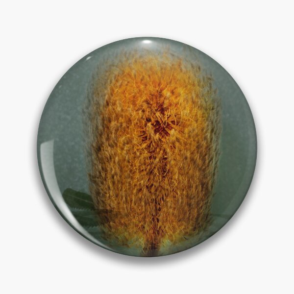 Item preview, Banksia in the round designed and sold by Bevlyn.