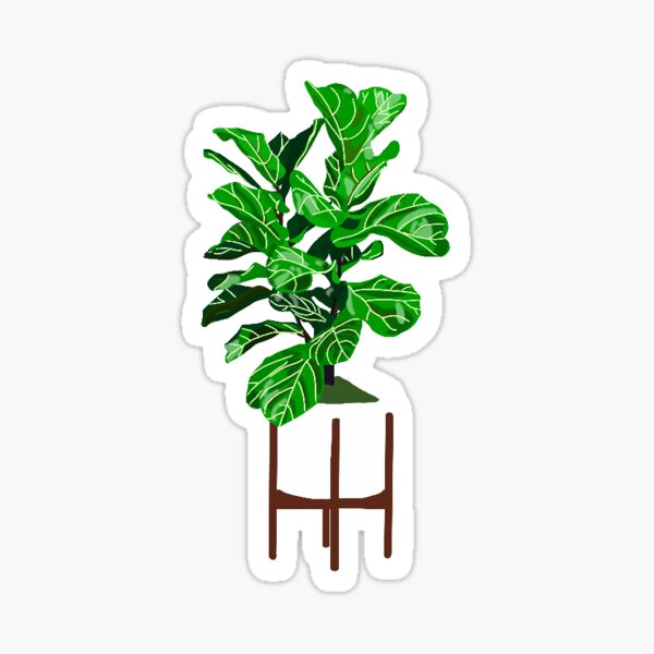Fiddle Leaf Fig Tree Sticker