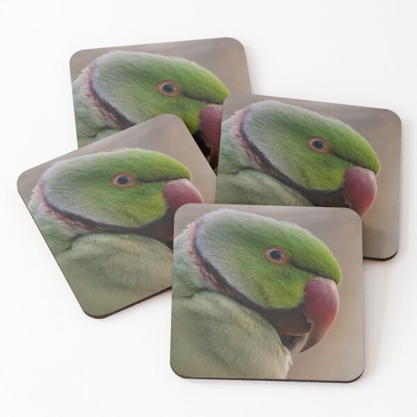 Item preview, Rose-ringed Parakeet Portrait closeup designed and sold by hendrikspix.