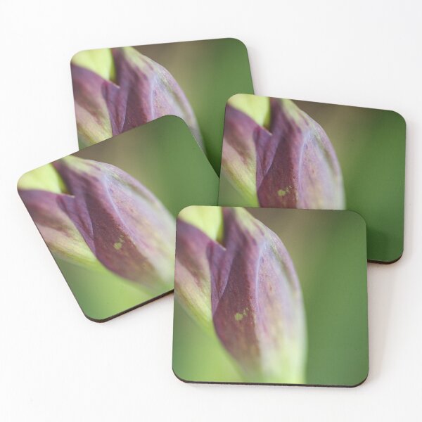 Item preview, Purple Iris Showing Stem designed and sold by Joy Watson - Natural Light Photography .