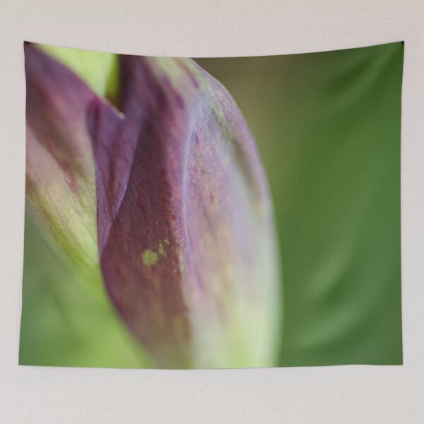 Item preview, Purple Iris Showing Stem designed and sold by Joy Watson - Natural Light Photography .