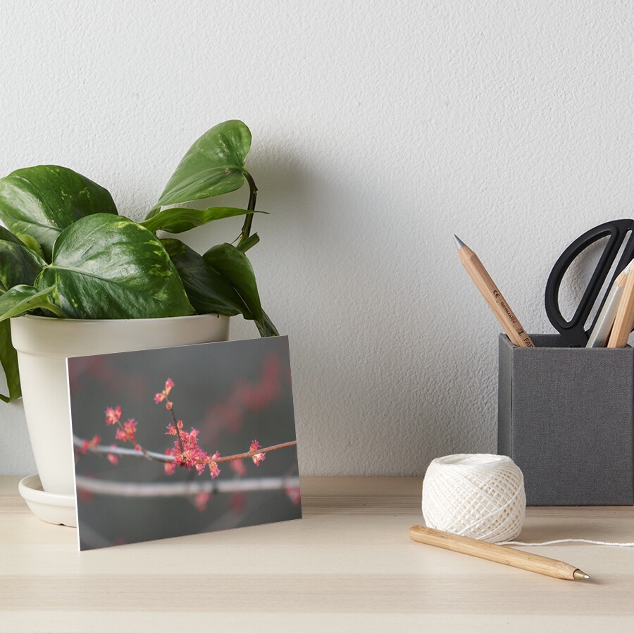 Item preview, Art Board Print designed and sold by Samuel Schaar.