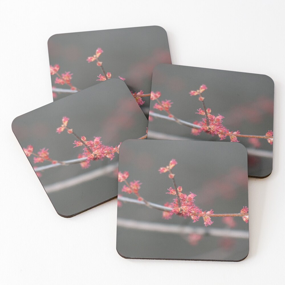 Item preview, Coasters (Set of 4) designed and sold by Samuel Schaar.