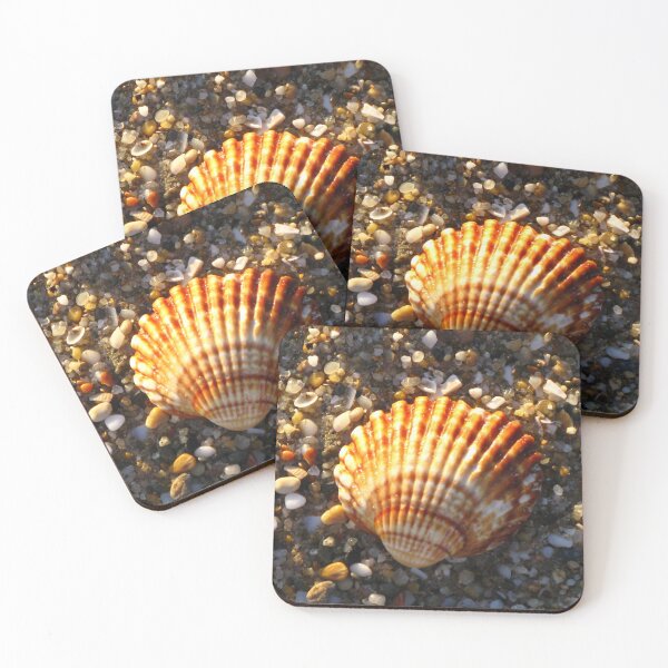 Item preview, Sunlit Shell & Fragments #2 designed and sold by Marilyn Harris.
