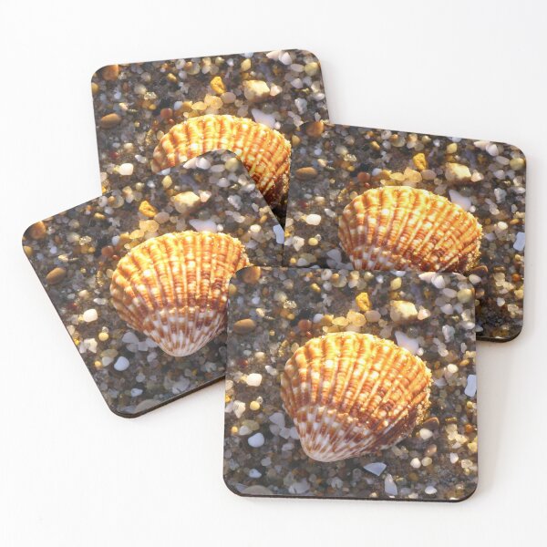 Item preview, Sunlit Shell & Fragments #1 designed and sold by Marilyn Harris.
