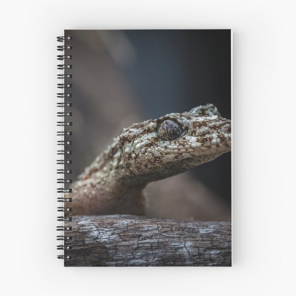 Item preview, Saltuarius moritzi, the Northern Leaf-Tailed Gecko! designed and sold by Normf.