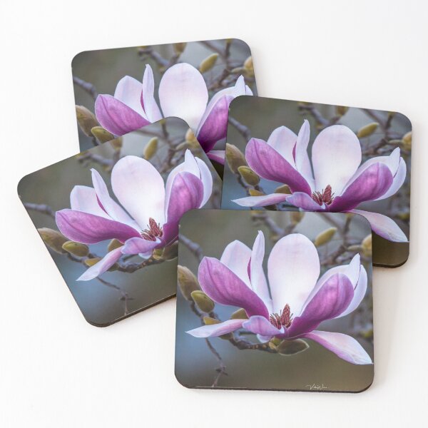 Item preview, Pink Magnolia, Ivanhoe, Victoria, Australia designed and sold by Vicki Walsh.