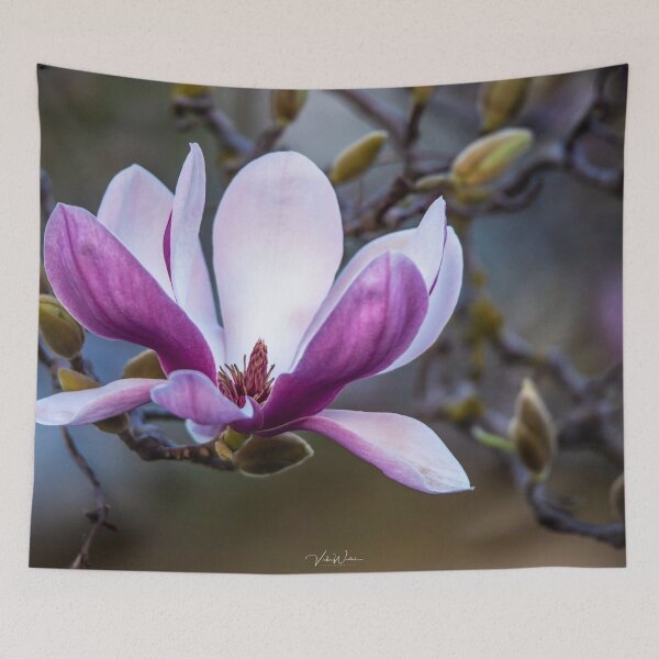Item preview, Pink Magnolia, Ivanhoe, Victoria, Australia designed and sold by Vicki Walsh.