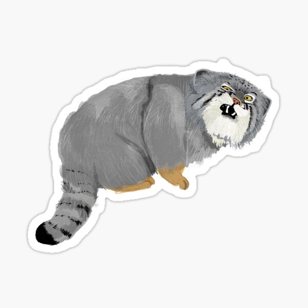 Funny Grumpy Cat Stickers for Sale