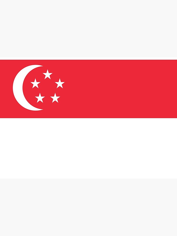 Singapore Flag Face Mask by ds-4