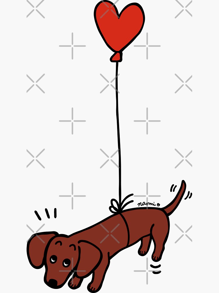 Red Smooth Haired Dachshund Floating in the Air by HappyLabradors