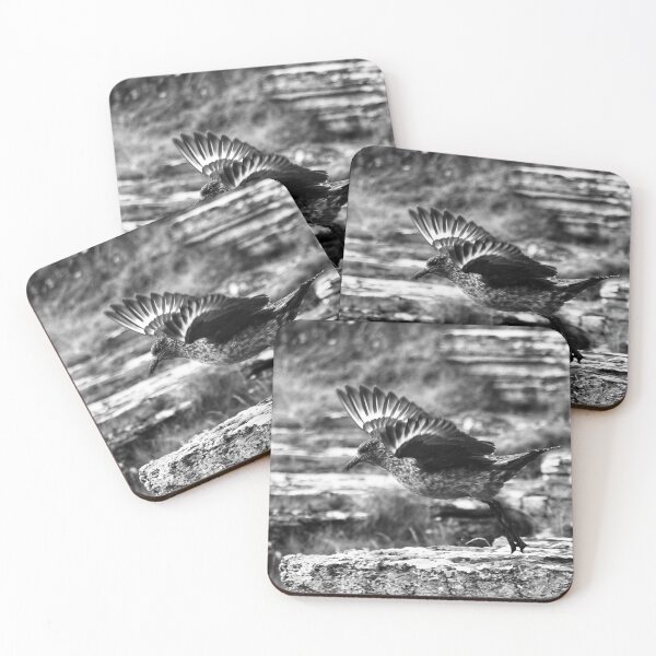 Item preview, A great skua or bonxie at Cantick Head on Hoy designed and sold by Alan Mackinnon.