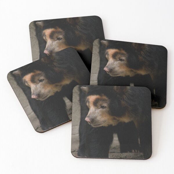 Item preview, Spectacled Bear designed and sold by SpectreSparkC.